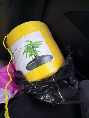 High Strength UV Treated Under High Temperature PP Banana Twine