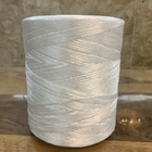 Anti UV Agriculture Tomato Twine Polypropylene Twisted Thread White 1g/M 2-5kg/Roll