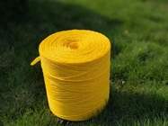 Agriculture Tying Yellow Banana PP Twine With UV 9000D-27000D