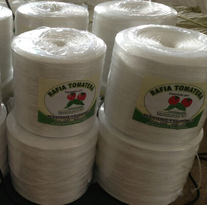 Wholesale Baler Twine Tomato Banana Grape Vine Twine  Greenhouse PP Multi-span Agricultural Twines