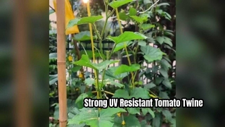 Odporny na promieniowanie UV sznurek do wiązania pomidorów zapewniający mocne wsparcie roślin